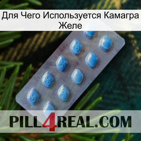 Для Чего Используется Камагра Желе viagra3.jpg